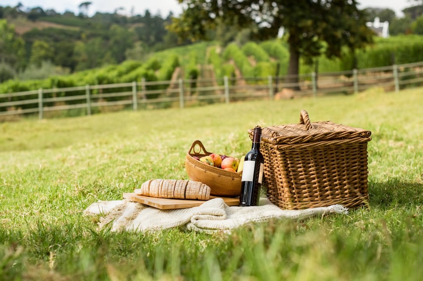 Vini da picnic: gli abbinamenti ideali per un pranzo fuori porta Vini da picnic: gli abbinamenti ideali per un pranzo fuori porta